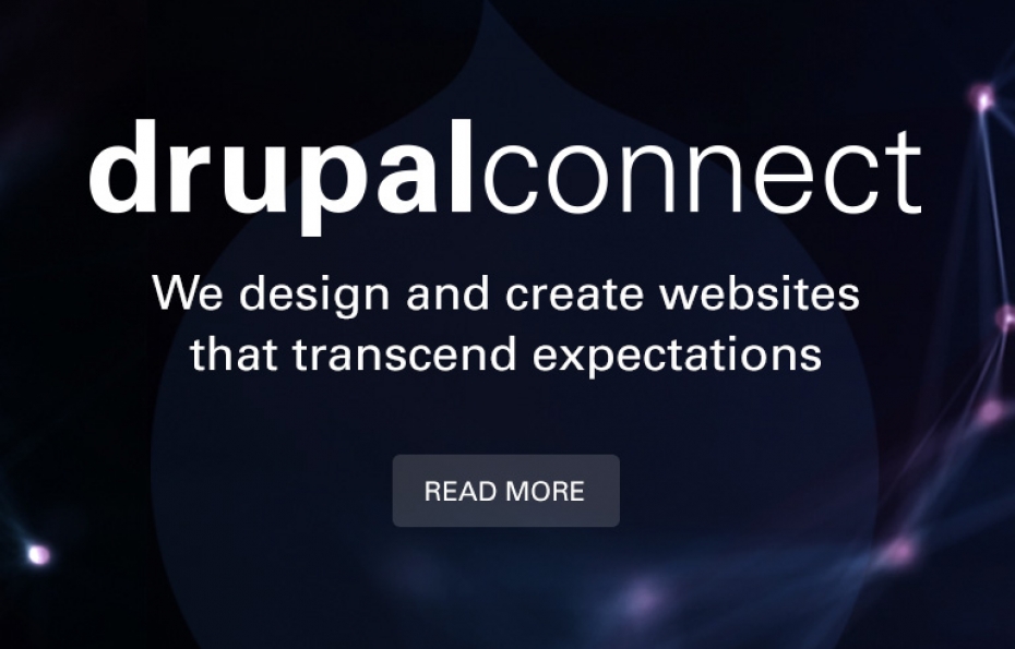 drupal web development expert